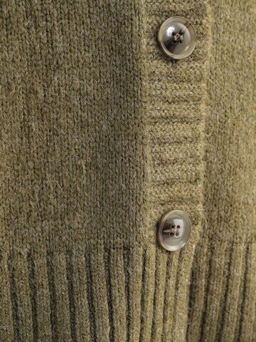 MixRay Knit Cardigan in Green