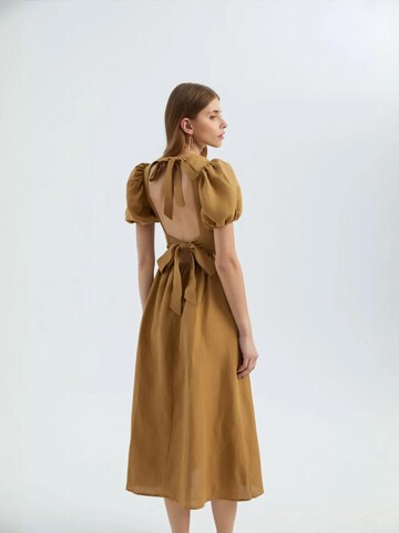 Hiccup Kleid in Braun