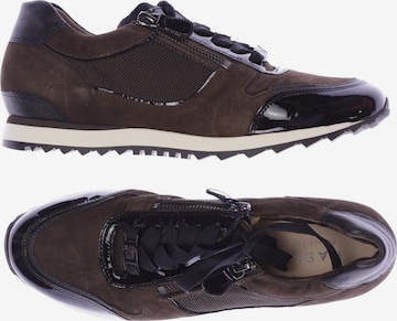 HASSIA Sneakers & Trainers in 38 in Brown: front
