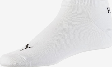 PUMA Κάλτσες σε λευκό