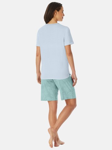 SCHIESSER - Pijama de pantalón corto ' Comfort Nightwear ' en verde