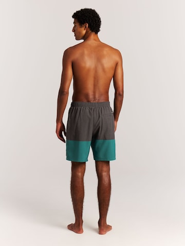 PROTEST Board Shorts 'Cabus' in Green
