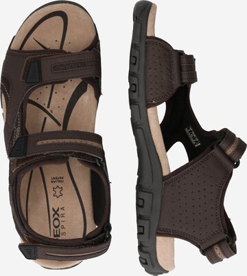 GEOX Hiking Sandals 'Strada' in Brown