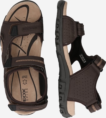 GEOX Trekkingsandal 'Strada' i brun