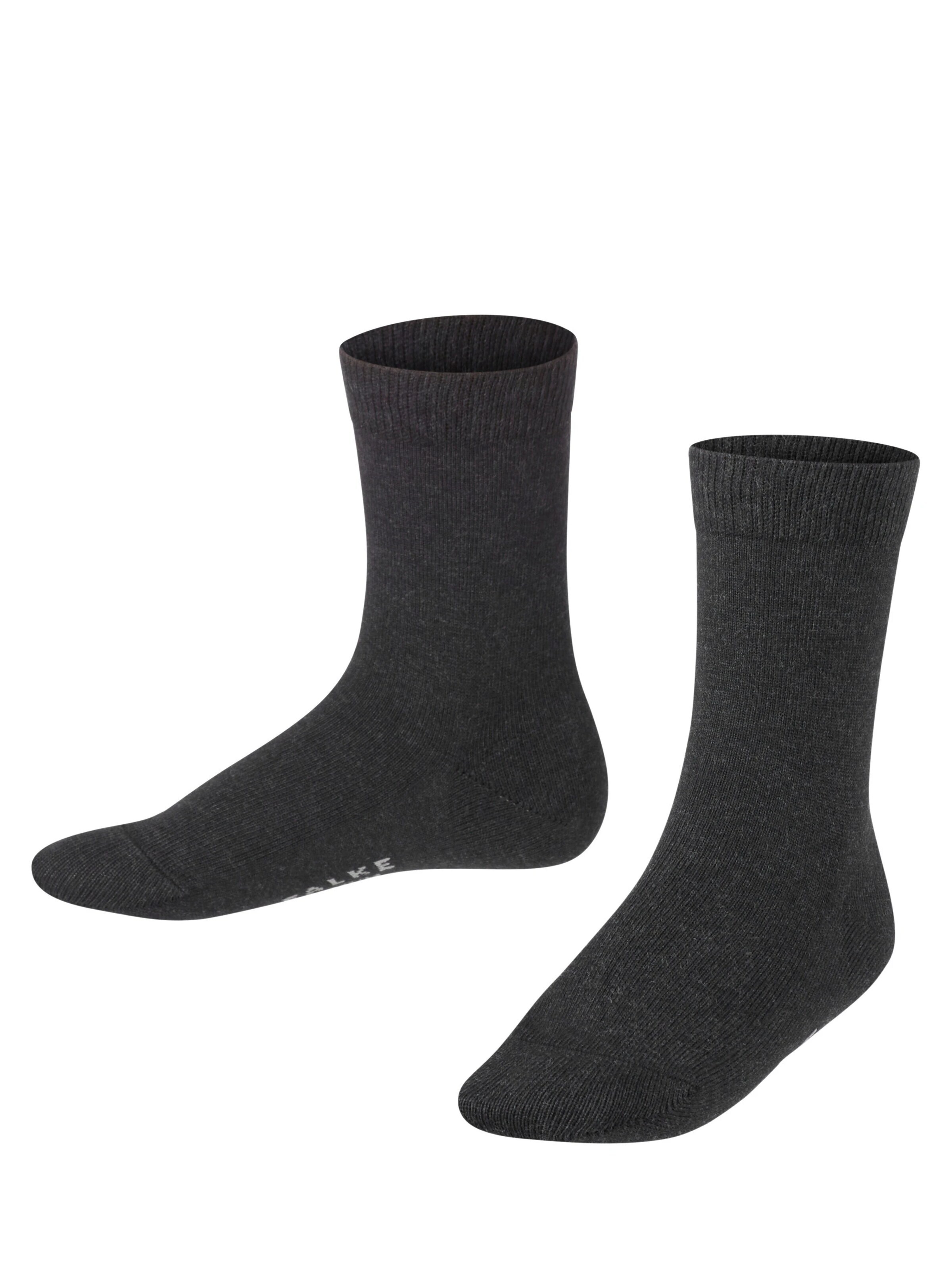 FALKE Socks 'Family' in Grey: front