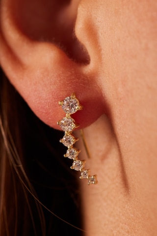 Boucles d'oreilles Lucardi en or : devant