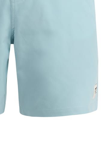 PROTEST Badeshorts 'PRTBAKY' in Blau: Vorderseite