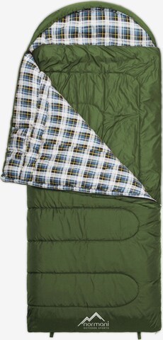 normani Sleeping Bag 'Antarctica' in Green
