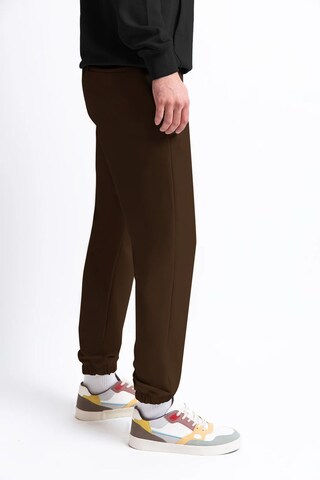 UNIQVIBE Tapered Hose in Braun