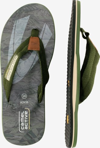 CAMEL ACTIVE T-Bar Sandals in Green