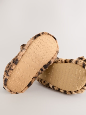 Next Toasuss, värv pruun