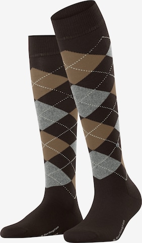 BURLINGTON Over the Knee Socks 'Marylebone' in Brown: front