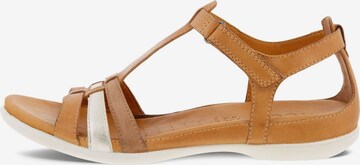 ECCO Sandalen met riem 'Flash' in Bruin