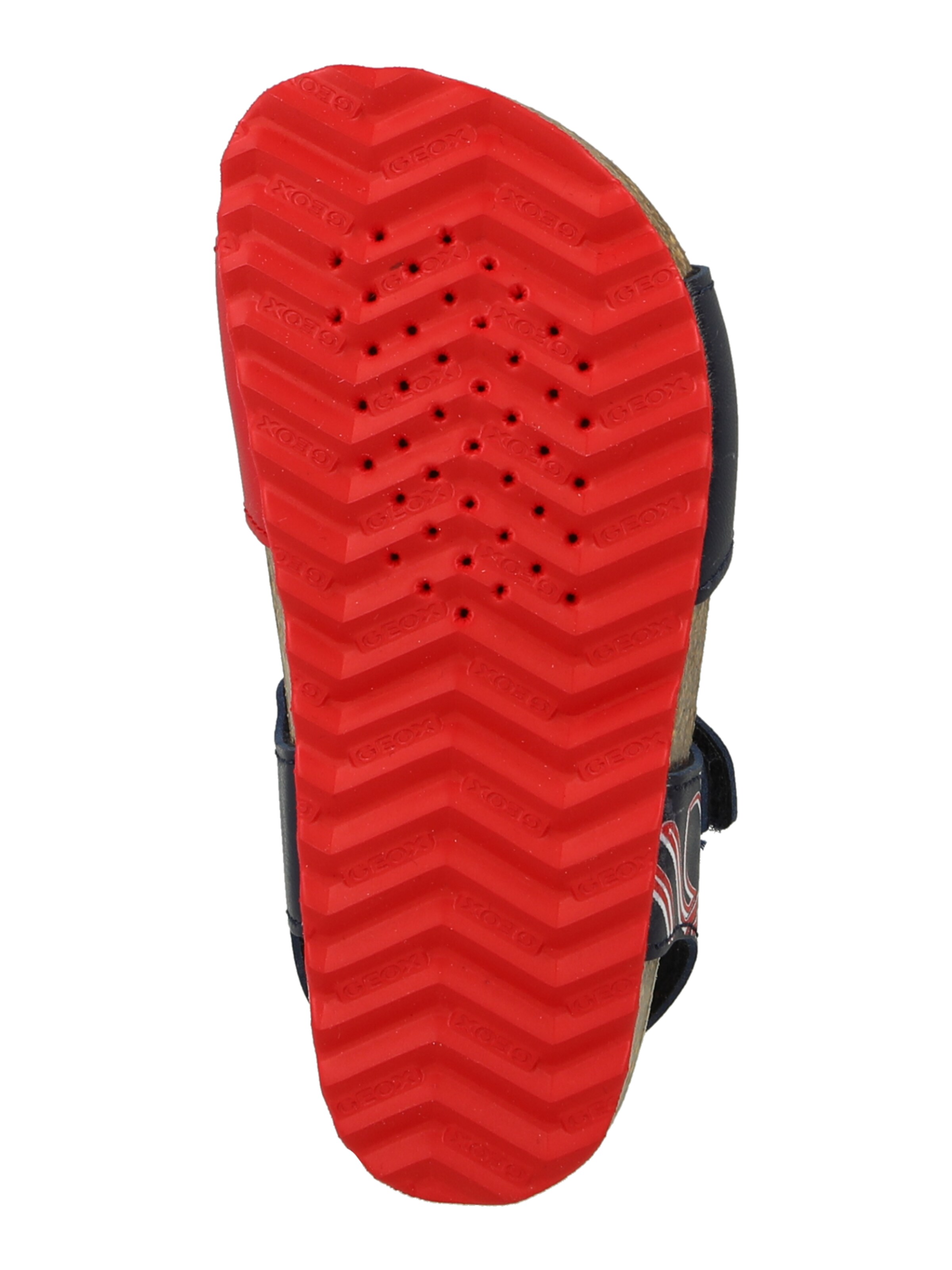 GEOX Sandals & Slippers in Blue