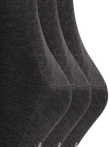 FALKE Socks 'Tiago 3-Pack' in Grey