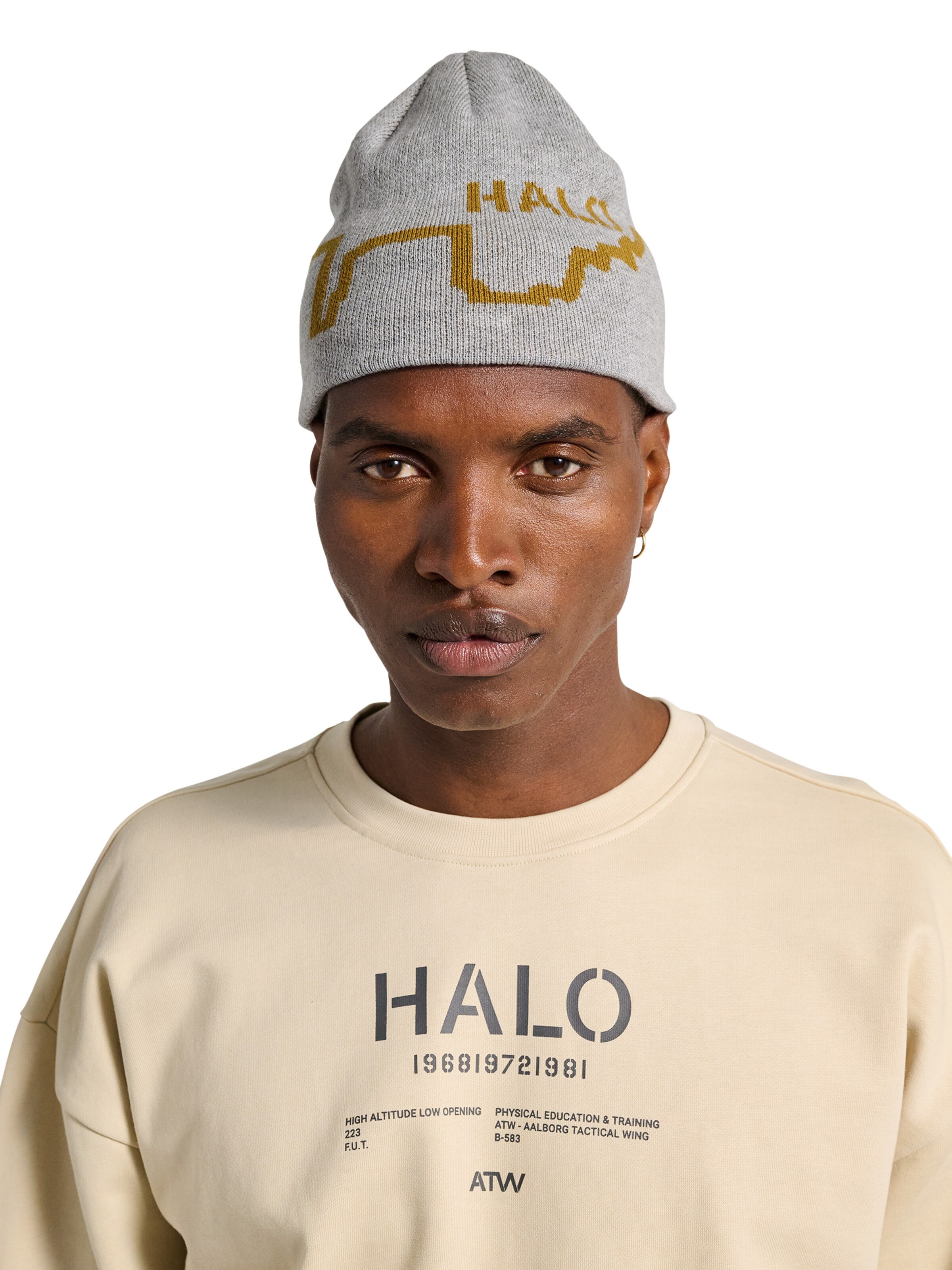 HALO Beanie in Grey