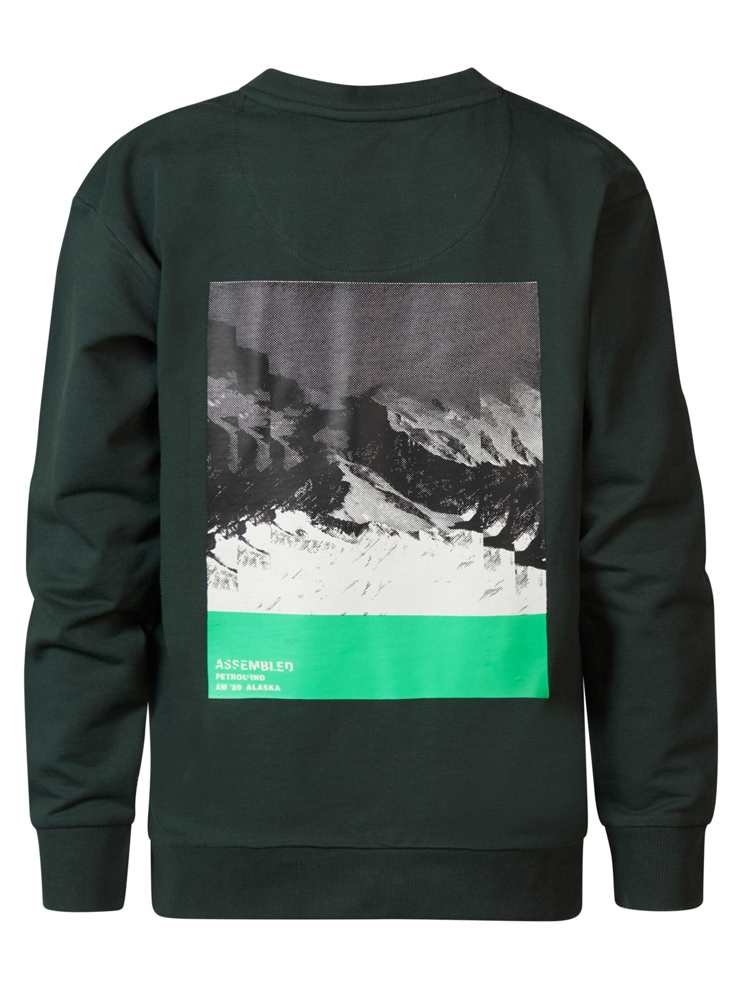 Petrol Industries Sweatshirt in Grün