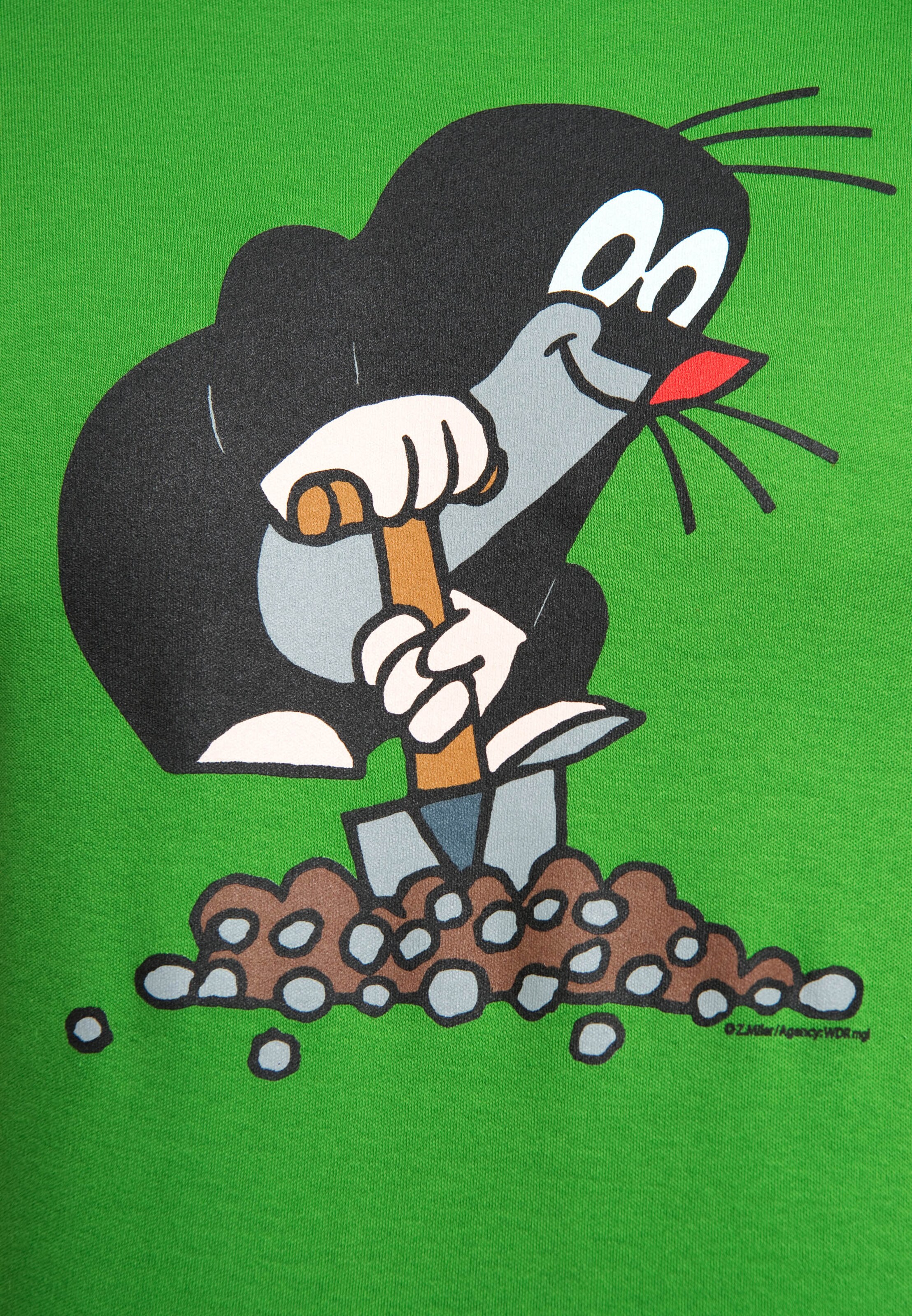 LOGOSHIRT Shirt in Green