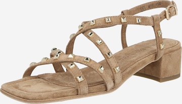 Kennel & Schmenger Босоножки с ремешком 'Saga' в Коричневый: спереди