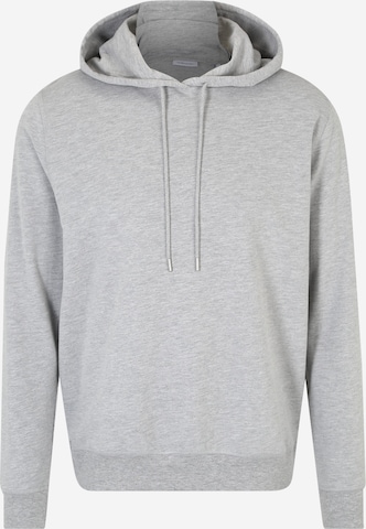 SEIDENSTICKER Sweatshirt 'Schwarze Rose' i grå: framsida
