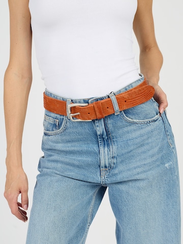 JCC Gürtel in Orange