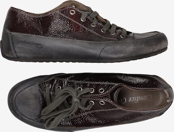 Candice Cooper Halbschuh 40 in Rot: Vorderseite