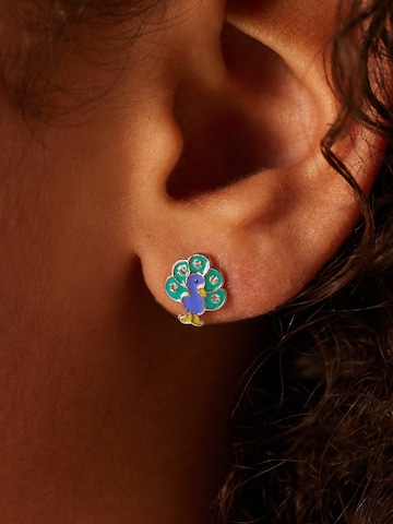 Boucles d'oreilles Lucardi en argent