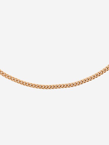 AllSaints Necklace in Gold