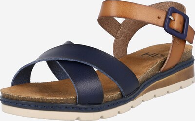Sandale cu baretă H.I.S pe bleumarin / maro, Vizualizare produs