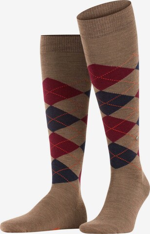 BURLINGTON Knee High Socks in Brown: front