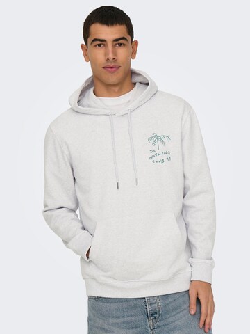 Only & Sons Sweatshirt 'ONSDavid' i grå