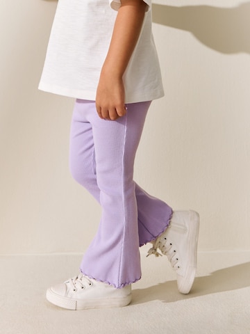 Next Na zvonec Pajkice | vijolična barva