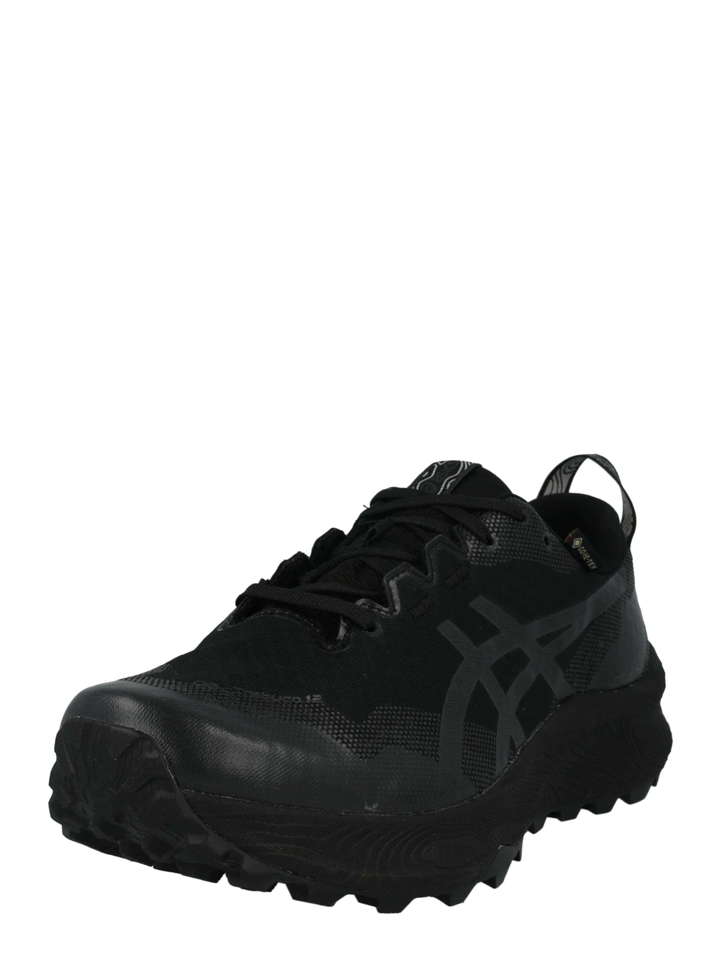 ASICS - Sapato baixo 'Trabuco 12' em preto: frente