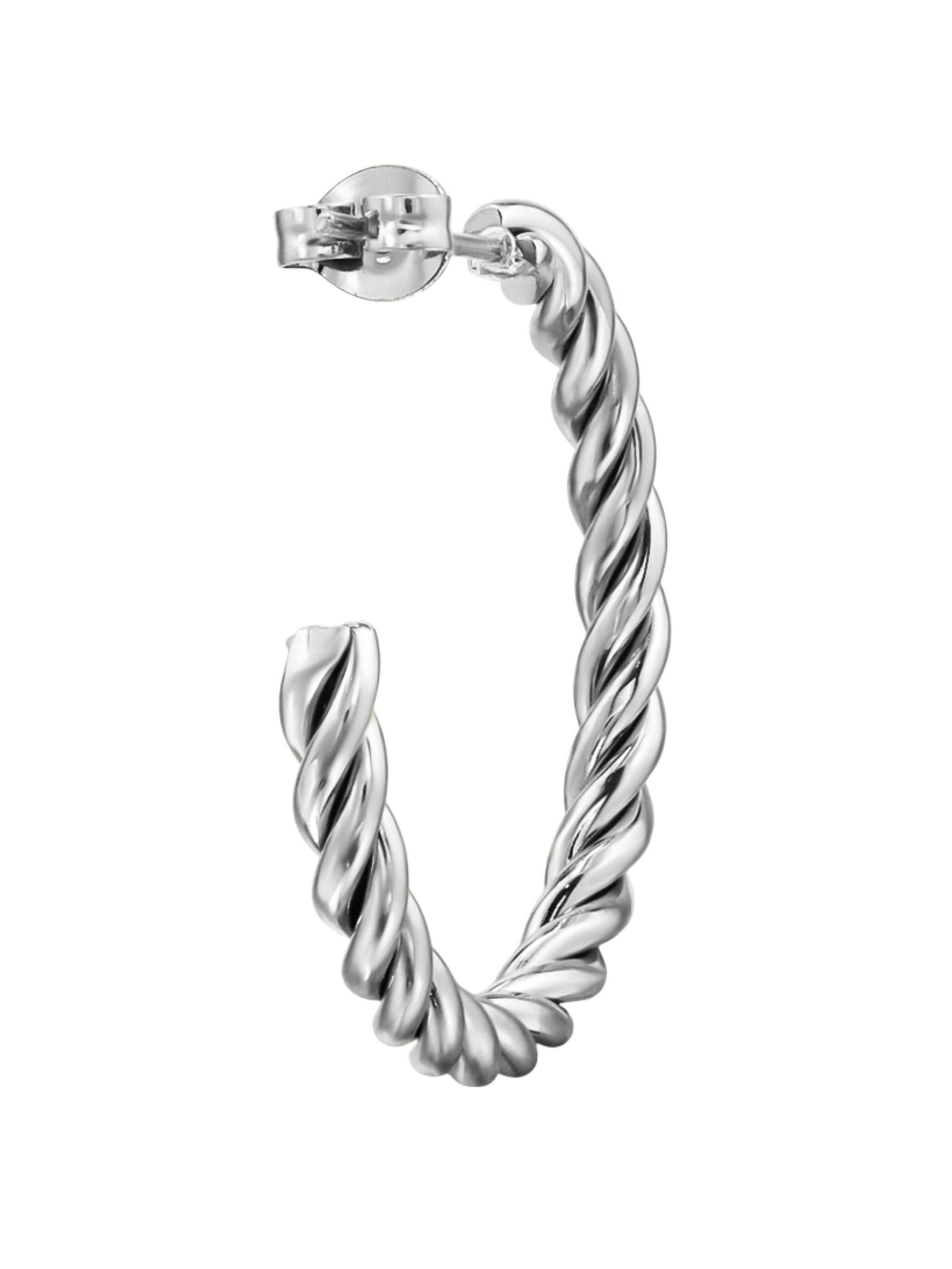 Maxte Earrings in Silver