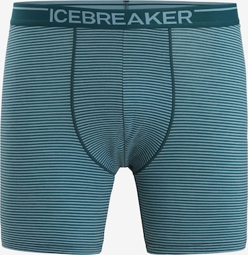 ICEBREAKER - Cueca desportiva 'Anatomica' em verde: frente