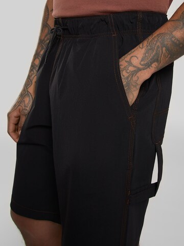 Loosefit Pantaloni cargo 'Wilsall' di DICKIES in nero