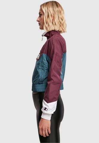 Starter Black Label Демисезонная куртка в Лиловый
