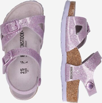 BIRKENSTOCK Sandały 'Rio' w kolorze fioletowy