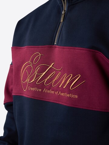 ESTEEM Sweatshirt in Blue