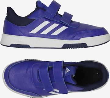 ADIDAS PERFORMANCE Sneaker 38,5 in Blau: Vorderseite