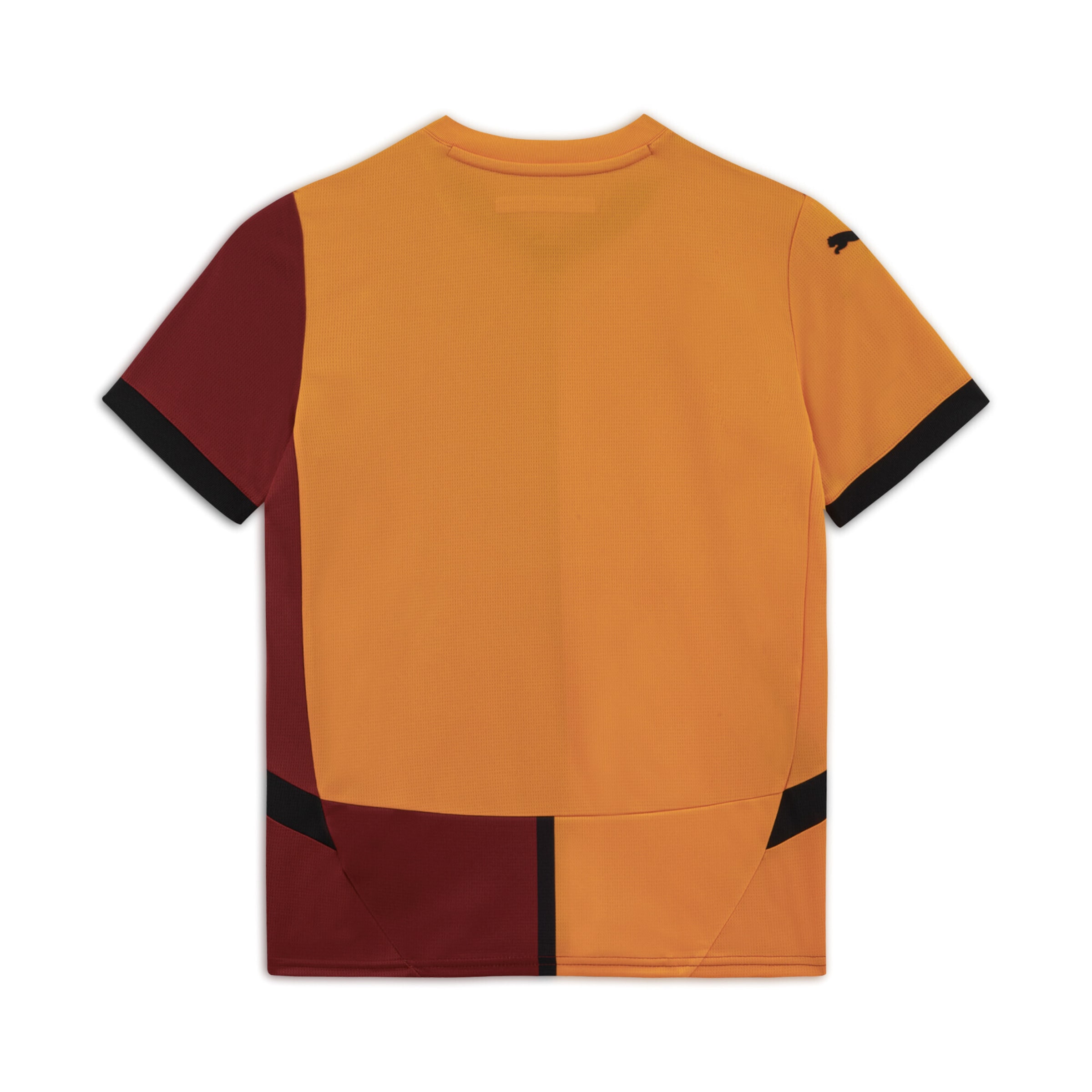 PUMA Performance shirt 'Galatasaray SK' in Mixed colours