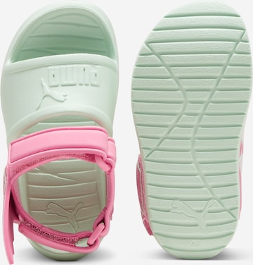 PUMA Beach & Pool Shoes 'Divecat v2 Injex' in Green