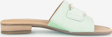 GABOR Mules in Green