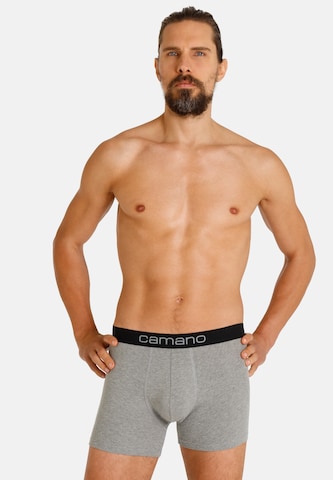 camano Boxershorts 'Comfort' in Grau: predná strana