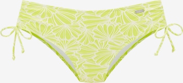 VENICE BEACH Bikini bottom in Green: front
