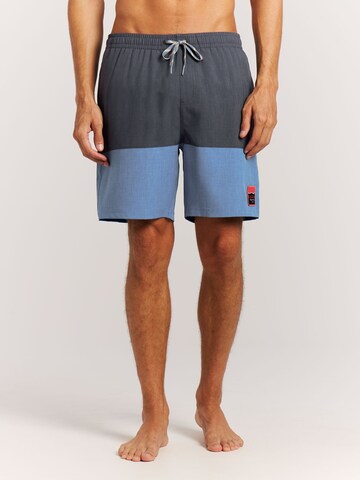 PROTEST Board Shorts 'PRTCabus' in Blue: front