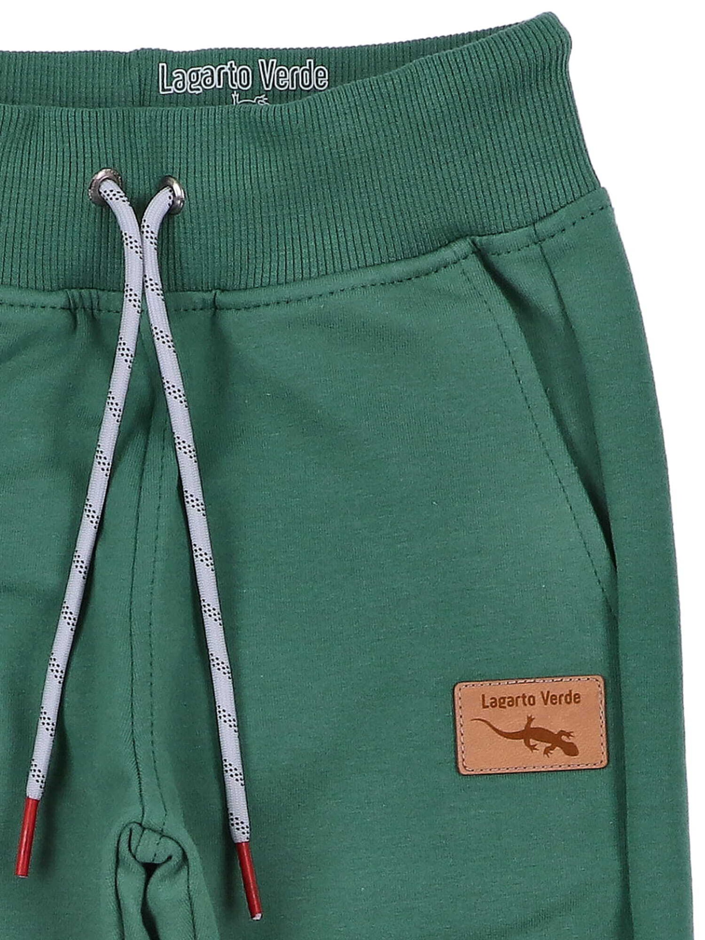 Lagarto Verde Tapered Broek in Groen