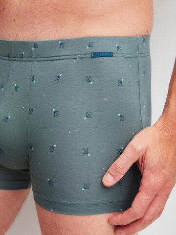 CALIDA Boxer shorts 'Grafic Cotton' in Grey