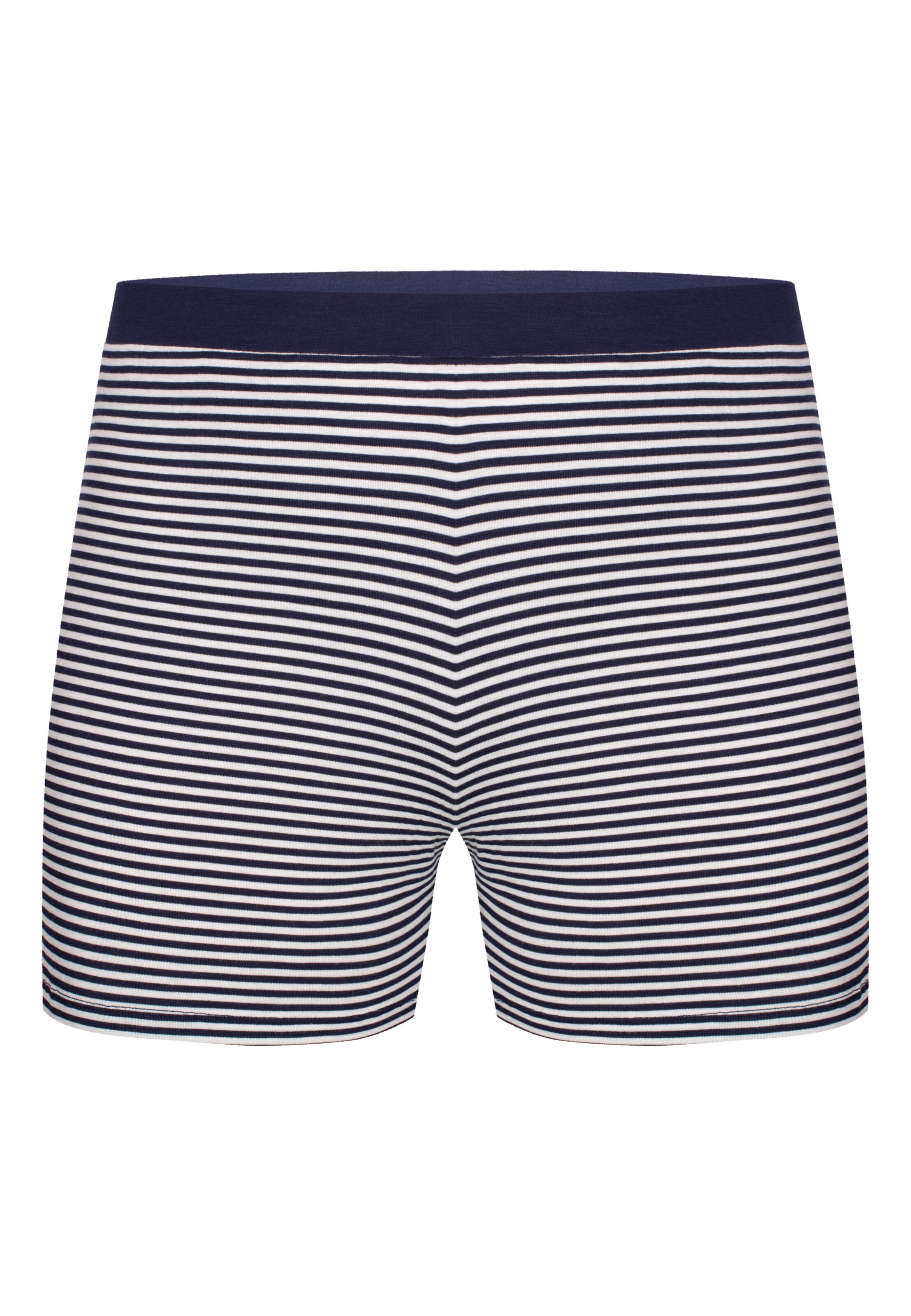 sassa Pajama pants 'CASUAL COMFORT STRIPE' in Blue: front