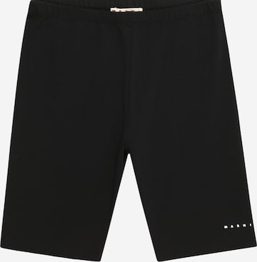 Marni Regular Shorts in Schwarz: predná strana